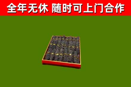 城子河回收海参